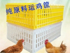 塑料鸡笼 大鸡转运笼 塑料鸡筐图2