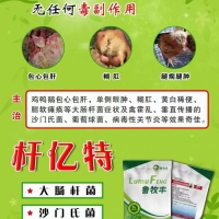 大肠杆菌 沙门氏菌特效药