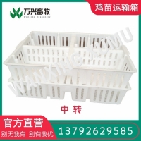雏鸡周转筐 小鸡塑料周转筐 鸡苗箱直销