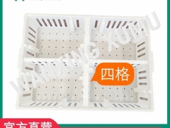 雏鸡周转筐 小鸡塑料周转筐 鸡苗箱直销图4