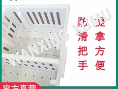 雏鸡周转筐 小鸡塑料周转筐 鸡苗箱直销图5
