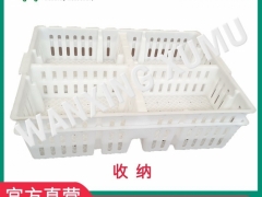 雏鸡周转筐 小鸡塑料周转筐 鸡苗箱直销图6