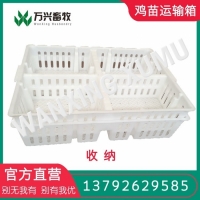 鸡苗运输筐 加固小鸡周转筐 小鸡用周转筐市场