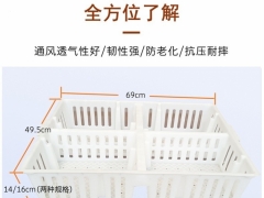 小鸡周转筐 小鸡筐运输笼 鸡苗筐周装箱图3