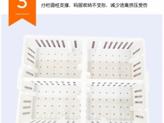 小鸡周转筐 小鸡筐运输笼 鸡苗筐周装箱图6