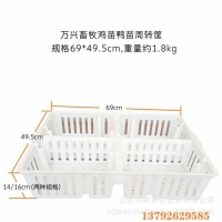 鸡苗筐 雏鸡塑料周转筐 雏鸡箱价格