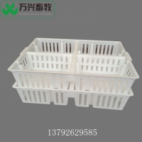四格小鸡周转箱 加固雏鸡运输笼 鸡苗运输筐规格