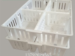 四格鸡苗周转箱 小鸡运输筐厂家 雏鸡用周转筐行情图7