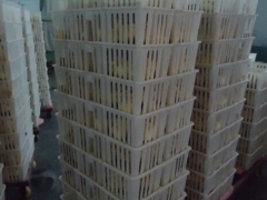 四格鸡苗周转箱 小鸡运输筐厂家 雏鸡用周转筐行情图8