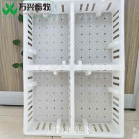 雏鸡筐 鸡苗塑料周转筐 小鸡运输筐图片
