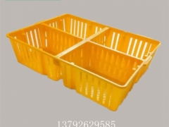 雏鸡筐 鸡苗塑料周转筐 小鸡运输筐图片图2