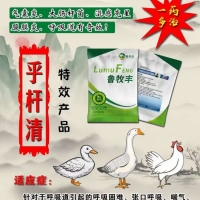 呼吸道疾病特效药