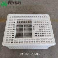 成鸡周转箱 土鸡笼 塑料大鸡笼