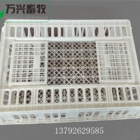 塑料鸡周转笼 鸡笼 鹅用运输笼