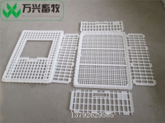 塑料鸡周转笼 鸡笼 鹅用运输笼图9