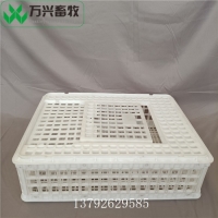 塑料运输鸡笼 运输鸡笼子 兔子运输笼