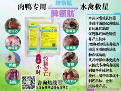肉鸭脾坏死、黄病毒、副黏病毒、鸭瘟特效药核心料（无抗）