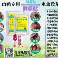 肉鸭脾坏死、黄病毒、副黏病毒、鸭瘟特效药核心料（无抗）