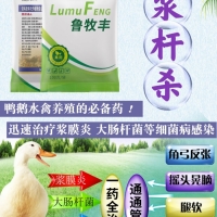 浆膜炎，大肠杆菌特效药代加工
