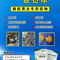 加快出栏，降低料肉比，预防腺肌胃炎特效药！