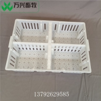 雏鸡运输筐 四格雏鸡周转箱 加固鸡苗周转箱