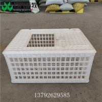 鸡用周转箱 鸡蛋周转筐厂家 成鸭周转筐