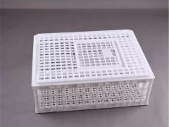 鸡鸭运输笼 蛋鸡周转笼 蛋鸭周转笼图4