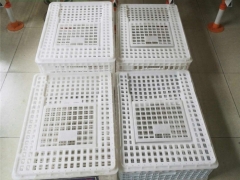 周转箱厂家 塑料周转箱 塑料鸡笼子图3