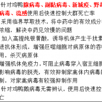 鸭子腺病毒用药