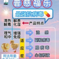 鸭子感冒流感防治