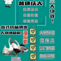 鸭子霍乱是怎么回事