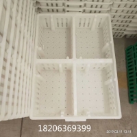 不怕压塑料鸡苗筐雏鸡周转筐塑料拉鸡苗塑料筐