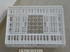 双开门元宝鸭笼塑料元宝鸡框装鸭运输筐图4