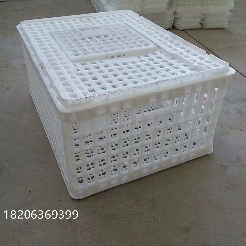 psb (6)_副本