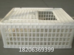 塑料成鸭周转筐装鸭用塑料笼塑料运鸭筐图5