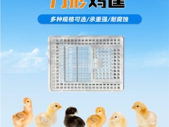 塑料鸭子运输笼长方形方形运鸭筐塑料拉鸭运输笼图2
