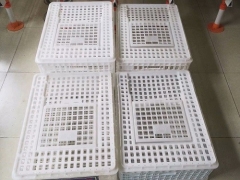 塑料鸭子运输笼长方形方形运鸭筐塑料拉鸭运输笼图3