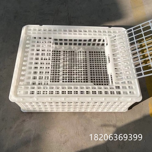 微信图片_20211210101941_副本