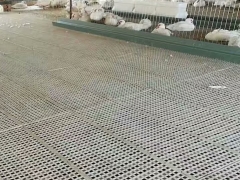 育雏鸭漏粪板塑料小鸭漏粪板塑料圆孔雏鸭漏粪板图2