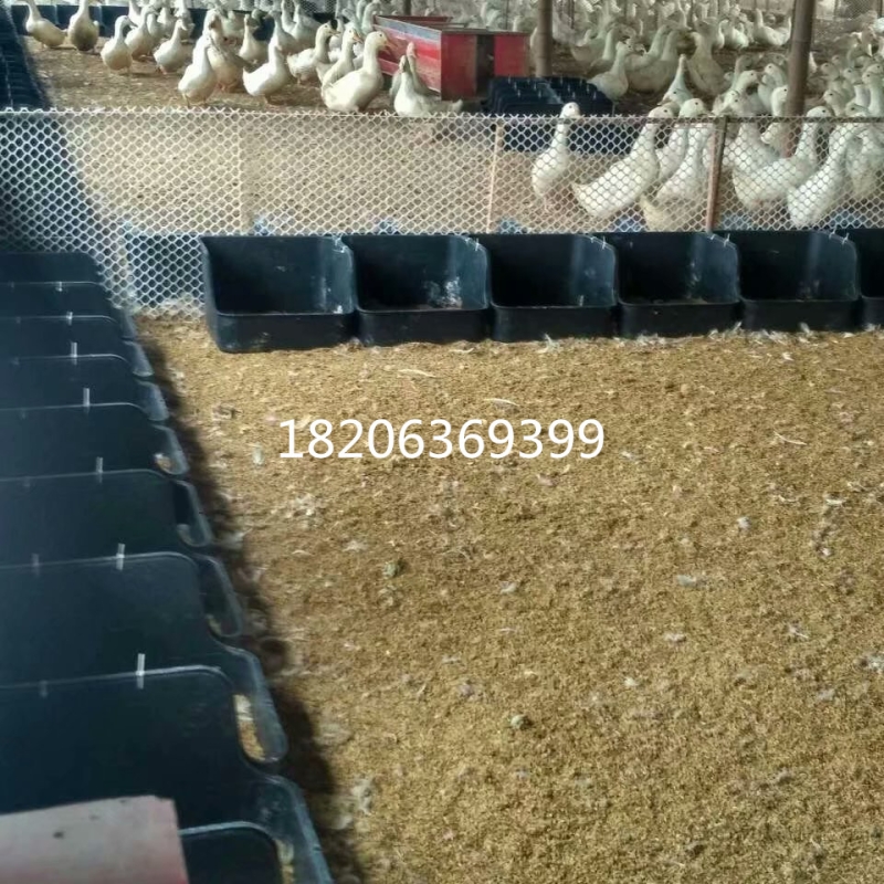 psb (14)_副本_副本