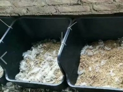 抗老化鸭产蛋窝种鸭蛋窝生产厂家塑料鸭子生蛋筐图3
