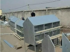 种鸡产蛋箱蛋鸡热镀锌产蛋箱安装厂家生产24穴母鸡产蛋箱图3