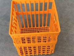 塑料种蛋运输筐孵化场用塑料种蛋运输筐塑料36枚种蛋筐图3
