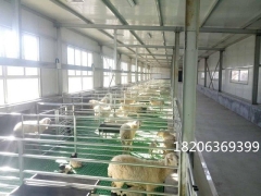 塑料100*50厘米羊漏粪板可拼接羊粪板新型塑料羊漏粪板图3