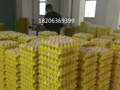 塑料30枚鸡蛋托运输用30枚塑料蛋托30枚鸡蛋格图3