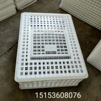批发耐磨透气大空间鸡鸭鹅运输筐 方形鸡笼 塑料鸡笼批发74*55*27cm