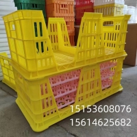 优质纯原料种蛋筐 优质纯原料种蛋筐 多功能塑料蛋筐 运输蛋筐 优质塑料蛋筐 配蛋托用塑料蛋筐