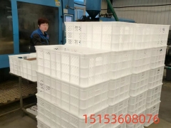 双格蛋筐 长方形隔板运输蛋筐 纯原料隔板种蛋筐批发 大号加厚鸡蛋运输筐 厂家现货45斤隔板鸡蛋筐图2