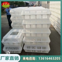 运输鸡笼 元宝鸡筐 活禽转运筐 单开门加大加厚