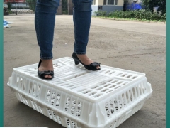 双开门元宝筐 鸡鸭运输笼 活禽周转筐厂家批发图2